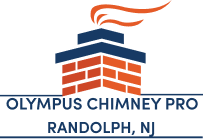 Olympus Chimney Pro